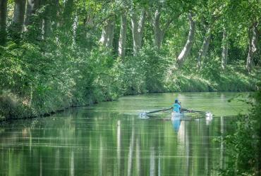Le canal du Midi